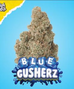 Blue gusherz strain