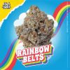 Rainbow belt weed strain